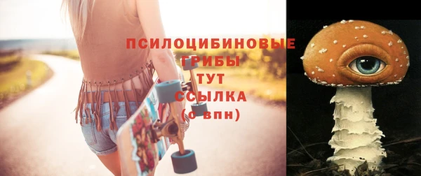 СК Абдулино