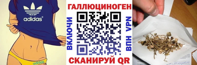 хочу наркоту Саратов Галлюциногенные грибы Magic Shrooms